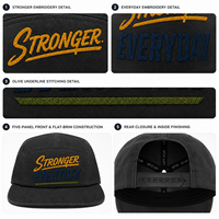 Gorra de 5 Paneles de Perfil Bajo con Visera Plana y Logotipo Bordado Personalizado para Minoristas de Ropa Deportiva
