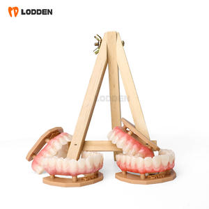 LODDEN Light Curado Modificación de goma simulada <span class=keywords><strong>Cad</strong></span> <span class=keywords><strong>Cam</strong></span> Material dental Modelo <span class=keywords><strong>Soft</strong></span> Gum Kit de modificación de goma simulada - Product Image 5