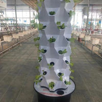 Aangepaste Tuin Ananas Tuin Verticale Landbouw Hydroponisch Kweeksysteem Verticale Landbouwtoren