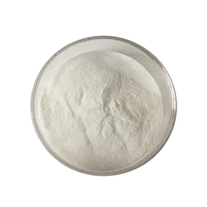 Factory Supply Coconut Extraction Concentrated Coconut Powder Milk Powder for juice