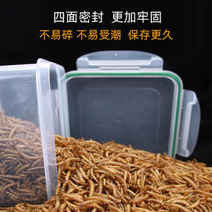 <b>Dried</b> <b>Mealworm</b> Bird Food High Protein Spiral Shape For Parrot Cockatiel Pearl Bird Feed Bulk Shandong Origin - Product Image 4