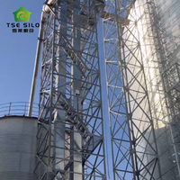 Élévateur à godets à faible taux de bris pour le levage vertical de céréales, compatible avec un convoyeur à foussoir pour silo en acier