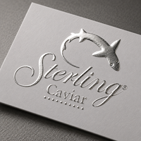 Cartes de visite personnalisées OEM avec impression dorée à chaud en relief sur papier d'art, impression offset, pack mariage et Noël
