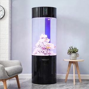 <span class=keywords><strong>Aquarium</strong></span> en acrylique transparent de style moderne, petit <span class=keywords><strong>aquarium</strong></span> personnalisé, écologique, vente en gros - Product Image 2