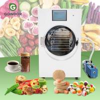Draagbare Vriesdroger Koude Val Liofilizadora Laboratorio Industriële Olie Vrije Vacuümpomp Machine Voor Fruit
