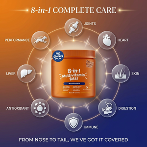 Suplemento Masticable 8 en 1 para <span class=keywords><strong>Perros</strong></span> con Glucosamina, Condroitina y Probióticos, Suplemento para <span class=keywords><strong>Articulaciones</strong></span>, <span class=keywords><strong>Vitaminas</strong></span> para <span class=keywords><strong>Perros</strong></span>, Suplemento para Mascotas - Product Image 4