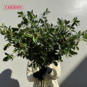 ใบต้นไทรปลอม DC149 ยาว 113 ซม. ต้นไม้ประดิษฐ์สีเขียวสำหรับตกแต่งบ้านและโครงการจัดสวน - Product Image 5