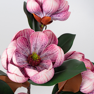 Flores Artificiales de <span class=keywords><strong>Magnolia</strong></span> <span class=keywords><strong>Grandiflora</strong></span> de 71 cm, Suaves como la Seda, Decoración para el Año Nuevo Chino y Navidad, Directo de Fábrica - Product Image 5