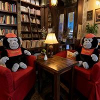 Nouvelle Peluche Singe Super Douce, Jouet en Peluche, Cadeau d'Anniversaire, Décoration