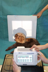 70KV Xray portable avec détecteur à écran plat Xray Digital Dog Xray Machine Vet <span class=keywords><strong>DR</strong></span> - Product Image 4
