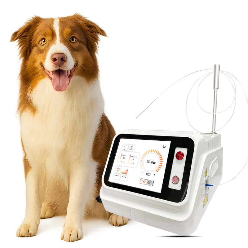 Vet Clinic 10w-30w Класс 4 Лазерная физиотерапевтическая машина 810 нм 980 нм для домашних животных хирургическая быстрая реабилитация 200 микрометрическое волокно