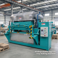 Machine polyvalente pour la fabrication de barquettes à œufs en papier pour déchets mixtes, avec une forte adaptabilité et une maintenance facile