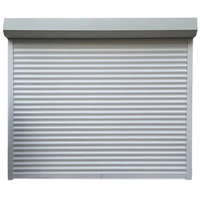 Puerta Enrollable Aislada de Aluminio Plateado, Puerta Enrollable Automática para Garaje con Control Remoto, Tamaño Personalizado