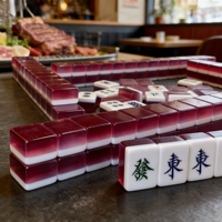 Tuiles de Mahjong en écaille de tortue en gros d'usine, tuiles de Mahjong uniques pour un usage domestique, produits de sport d'intérieur