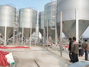 Centrale à béton Silo de blé et de riz Silo de stockage ventilé 600T pour céréales <span class=keywords><strong>en</strong></span> vrac - Product Image 6
