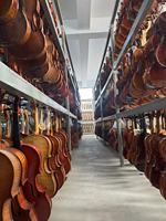 China Violin