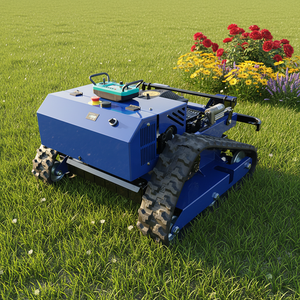 Cortacésped de <span class=keywords><strong>gasolina</strong></span> de 4 tiempos, fácil de usar, modelo QL-600Y, para césped artificial - Product Image 1