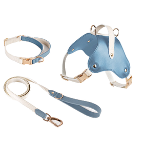 Arnés y Correa para Mascotas al por Mayor, Arnés para Perros sin Tirones con Hebillas Ajustables para Cachorros, Perros Pequeños, Medianos y Grandes - Product Image 6