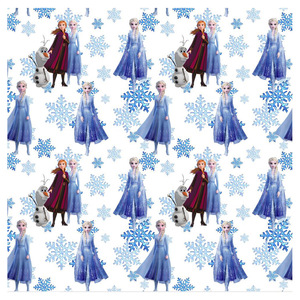 La famosa presa di fabbrica congelata principessa cartone animato personalizzato cotone tessuto 145gsm tessuto stampa digitale per indumento
