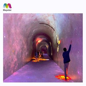 Ba chiều không gian ma thuật tương tác 360 3D sâu nhập vai kinh nghiệm phòng cá thời gian đường hầm ánh sáng chiếu - Product Image 6