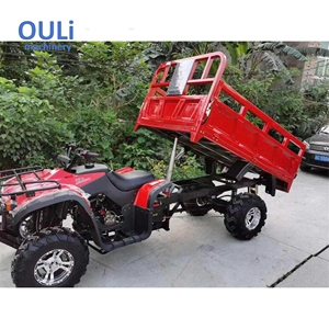 <span class=keywords><strong>Quad</strong></span> 4x4 tout-terrain 250cc pour adultes, idéal pour le transport de marchandises agricoles et les remorques agricoles - Product Image 4