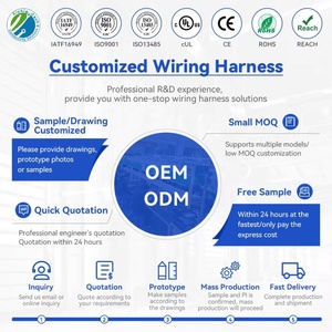 Çinli Üreticiden Su Geçirmez Konnektörlü Özelleştirilebilir Yeni Enerji Araç Akü Kablosu Güç Dağıtım Panosu Kablo Demeti - Product Image 5