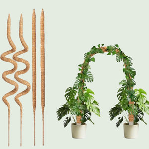 Support pour Plante Monstera en Fibre de Coco Biodégradable avec Trou de Drainage – Écologique, pour Usage Intérieur/Extérieur, Décoration Minimaliste - Product Image 2