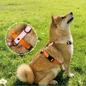 Etiqueta privada Pvc + Nylon Ajustable Lindo Servicio Diseñador Accesorios Fabricantes Reversible Arnés para mascotas Juegos para perros - Product Image 4