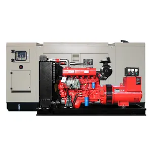 AC Single Phase Output Type and 50 /60HZ Frequency Diesel Generator