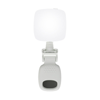 D5 Mini Square Pocket Light Clip-on Portable Light pour les selfies des blogueurs de beauté et la diffusion en direct