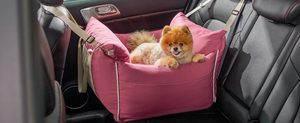 Bon marché Housse de siège arrière pour animaux de compagnie étanche Portable voyage petit chien <span class=keywords><strong>voiture</strong></span> <span class=keywords><strong>rehausseur</strong></span> accoudoir central Console siège avec ceinture - Product Image 5