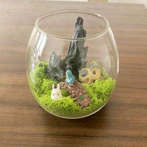 Terrario in Vetro da Tavolo con Coperchio in Sughero, Mini Vaso Decorativo per <span class=keywords><strong>Piante</strong></span> di Muschio e Fiori, Centrotavola - Product Image 4