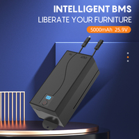 Batterie rechargeable universelle Li-ion 24V 2500mAh Rosiyar pour fauteuil inclinable électrique, appareils électroménagers et meubles réglables