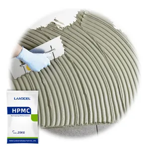 Bahan Kimia Industri Standar Tinggi HPMC Hidroksi Propil Metil Selulosa Bubuk HPMC untuk Perekat Ubin Keramik