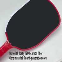 Raquette de pickleball Agasi Pro approuvée par l'USAPA, GEN4, noyau en nid d'abeille TFP, 16 mm, 14 mm, grand sweet spot, fibre de carbone brute T700