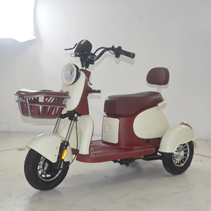 Vélo électrique à <span class=keywords><strong>3</strong></span> <span class=keywords><strong>roues</strong></span> écologique, modèle 2026, très demandé |   Frein à tambour avant et arrière |   OEM ODM disponible pour la vente en gros - Product Image 4