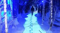 Projecteur Mural Interactif de Mapping 3D Personnalisé avec Système de Projection Visuelle Immersive
