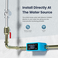 Détecteur intelligent de fuite d'eau avec WiFi, arrêt automatique, affichage de la pression et du débit d'eau
