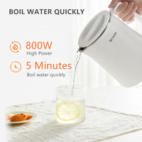 Pabrik Ketel Air Minum Portabel Harga Pabrik 800 ML Ketel Listrik untuk Merebus Air.