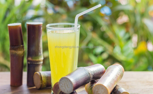 Machine à presser le jus de canne à sucre, presse-jus manuelle, mixeur, broyeur, extracteur de jus de canne à sucre de qualité industrielle - Product Image 5