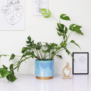 Grands pots à fleurs en céramique pour bonsaïs, idéaux pour bureaux et balcons - Design moderne et écologique, trou de drainage, légers - Vente directe - Product Image 6