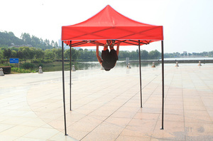 Carpa Plegable Económica de <span class=keywords><strong>2x2</strong></span> m - Product Image 6