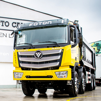 Camion à benne basculante Foton 460HP neuf en stock, prix d'usine, vente chaude