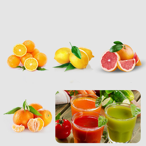 Exprimidor de Naranjas Comercial, 22-30 Naranjas por Minuto, Extractor de 120W, OWN-ZXG-1107, Exprimido Eficiente, Nuestro Exprimidor de Naranjas Comercial - Product Image 2