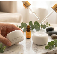 Diffuseur d'arômes écologique non toxique en pierre, aux senteurs d'orange, jasmin, citron, lavande et rose, pour la maison, la voiture et le bureau