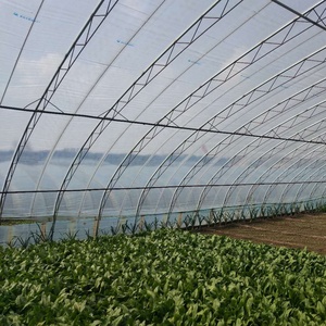 Serres en Gros : Film Plastique en Polycarbonate pour Serres Agricoles - Product Image 2