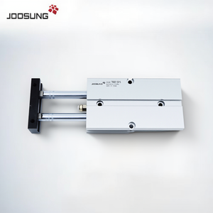 Cilindro de Doble Varilla TN16x30-S para Impresora <span class=keywords><strong>3D</strong></span> y Equipos de Precisión - Product Image 4