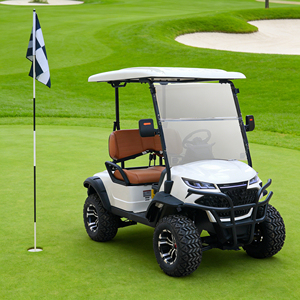 Voiturette de golf électrique WOLAN Zoo pour 2 personnes, avec seau d'alimentation pour animaux, pour <span class=keywords><strong>parc</strong></span> de <span class=keywords><strong>safari</strong></span>, autonomie de 70-90 km, vitesse de 30-50 km/h, certifiée DOT - Product Image 6