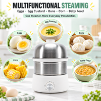 Cuiseur à œufs électrique multifonctionnel à usage domestique, double niveau, en acier inoxydable 304, avec minuterie, personnalisable OEM