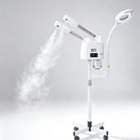 Appareil de soin du visage hydratant pour peaux sèches, vapeur chaude, améliore la peau terne et blanchâtre, avec loupe LED pour l'inspection cutanée, instrument de spa